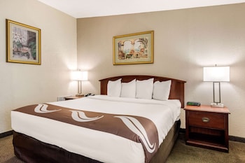 Standard Room, 1 King Bed, Non Smoking