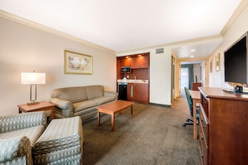 Suite, 1 King Bed with Sofa bed, Non Smoking