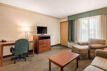 Suite, 1 King Bed with Sofa bed, Non Smoking