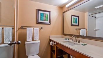 Standard Room, 1 King Bed, Non Smoking, Jetted Tub