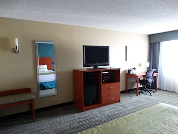 Standard Room, 1 King Bed, Accessible, Refrigerator & Microwave (with Sofabed)