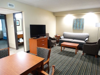 Suite, 1 King Bed, Non Smoking, Refrigerator & Microwave (with Sofabed)