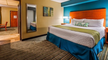 Suite, 1 King Bed, Non Smoking, Refrigerator & Microwave (with Sofabed)