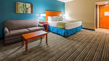 Standard Room, 1 King Bed, Accessible, Refrigerator & Microwave (with Sofabed)