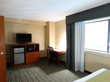 Suite, 1 King Bed, Non Smoking, Refrigerator & Microwave (with Sofabed)