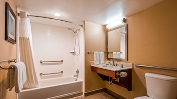 Standard Room, 1 King Bed, Accessible, Refrigerator & Microwave (with Sofabed)