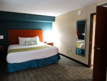 Suite, 1 King Bed, Non Smoking, Refrigerator & Microwave (with Sofabed)