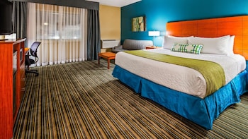 Standard Room, 1 King Bed, Accessible, Refrigerator & Microwave (with Sofabed)