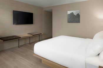 Room, 1 King Bed with Sofa bed, Hearing Accessible