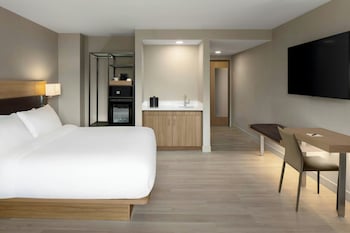 Studio, 1 King Bed, Roll-in Shower