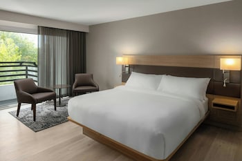 Studio, 1 King Bed, Roll-in Shower