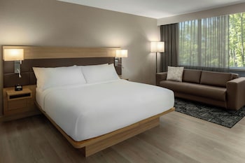 Room, 1 King Bed with Sofa bed, Hearing Accessible