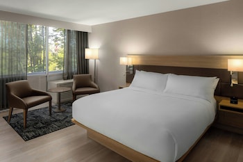 Room, 1 King Bed, Accessible Bathtub