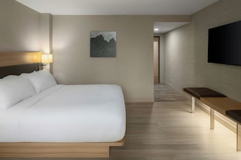 Room, 1 King Bed, Accessible Bathtub