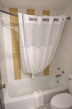 Double Room, 2 Double Beds