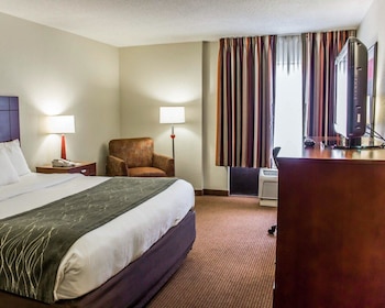 Standard Room, 1 King Bed, Non Smoking