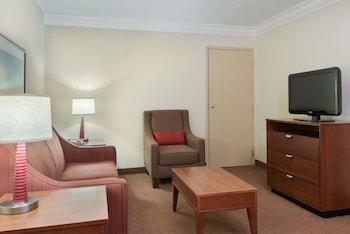 Suite, 1 King Bed with Sofa bed, Non Smoking