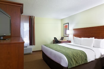Room, 1 King Bed, Accessible, Non Smoking