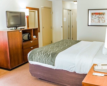 Standard Room, 1 King Bed, Non Smoking