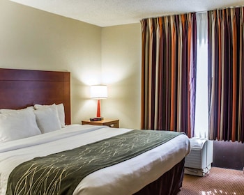 Suite, 1 King Bed with Sofa bed, Non Smoking