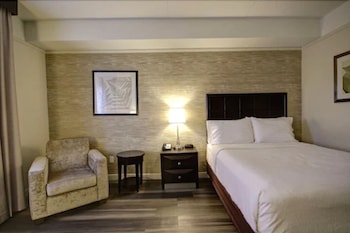 Standard Room, 1 Queen Bed, Accessible (Communications)