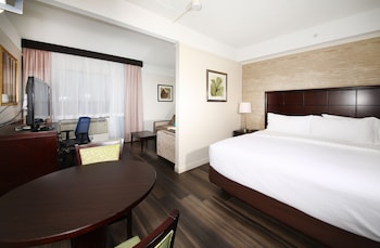 Suite, 1 King Bed (Additional Living Area)