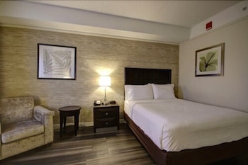Standard Room, 1 Queen Bed, Accessible (Communications)
