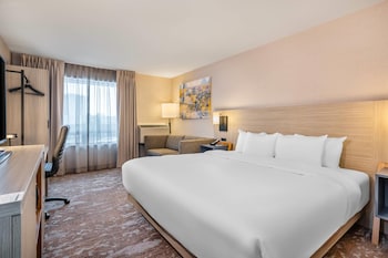 Standard Room, 1 King Bed, Non Smoking