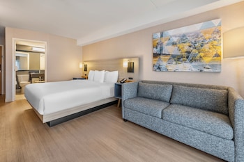 Room, 1 King Bed with Sofa bed, Accessible, Non Smoking
