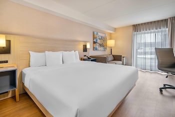 Room, 1 King Bed with Sofa bed, Accessible, Non Smoking