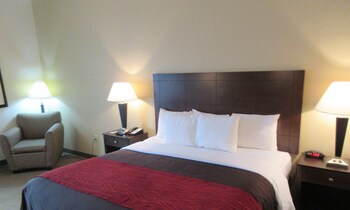 Suite, 1 King Bed with Sofa bed, Non Smoking