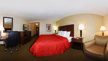 Standard Room, 1 King Bed, Non Smoking