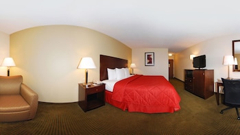 Standard Room, 1 King Bed, Non Smoking