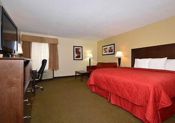 Standard Room, 1 King Bed, Non Smoking