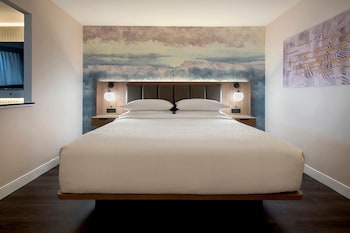 Room, 1 King Bed