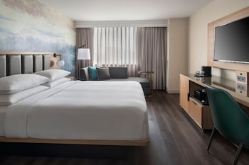 Room, 1 King Bed