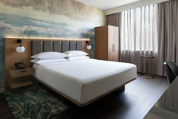 Room, 1 King Bed