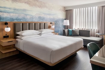 Room, 1 King Bed