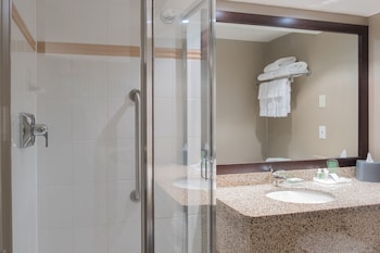Suite, 1 Queen Bed