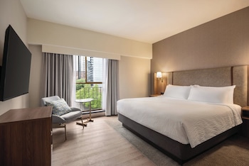 Suite, 1 King Bed