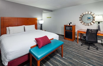 Room, 1 King Bed