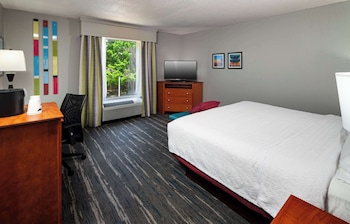 Room, 1 King Bed