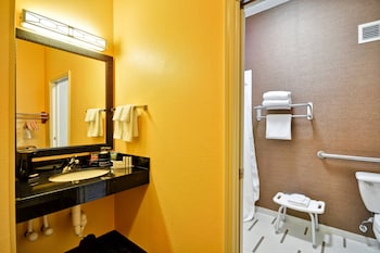 Room, 1 King Bed, Hearing Accessible (Roll-in Shower)