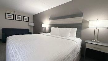 Suite, 1 Bedroom, Non Smoking