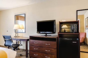 Room, 1 King Bed, Non Smoking