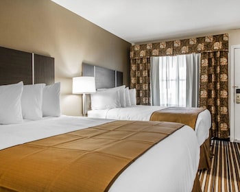 Standard Room, Multiple Beds, Non Smoking