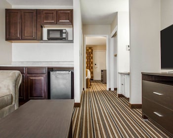 Efficiency Suite, Multiple Beds, Non Smoking