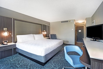 Standard Room, 1 King Bed