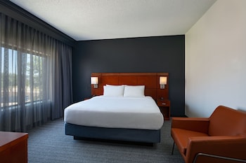 Suite, 1 Bedroom