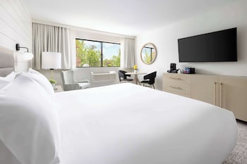 Room, 1 King Bed